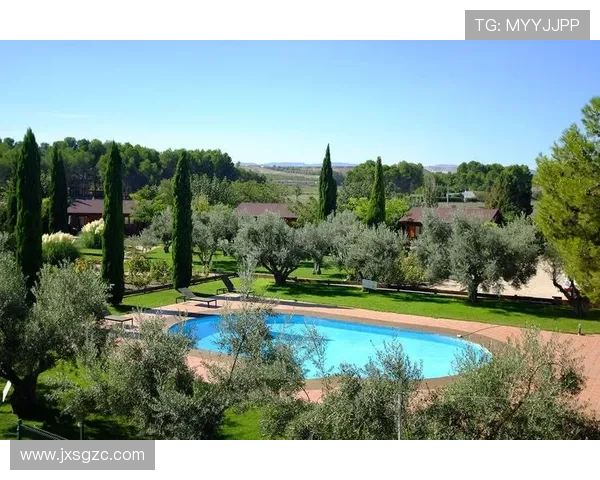 费雷罗或将回归 低潮期属于正常现象 费雷罗或将回归 低潮期属于正常现象